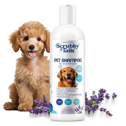 Oatmeal Shampoo for Itchy Skin